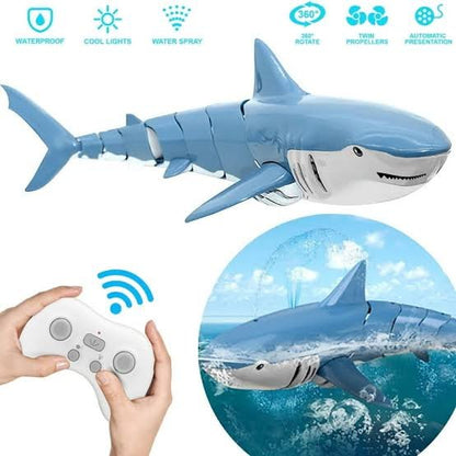 Remote Control Shark (Minimum Order Quantity 1 Carton/12 PCs)