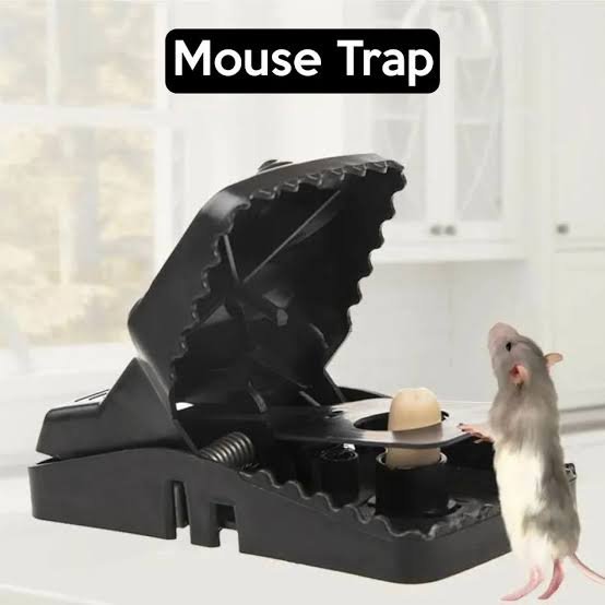Plastic Mouse Trap (Minimum Order Quantity 1 Carton/200 PCs)