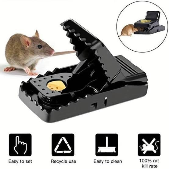 Plastic Mouse Trap (Minimum Order Quantity 1 Carton/200 PCs)