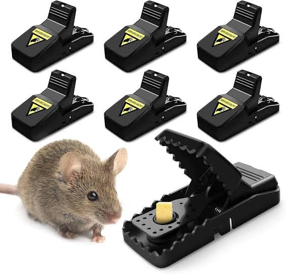 Plastic Mouse Trap (Minimum Order Quantity 1 Carton/200 PCs)